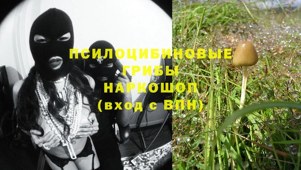 винт Аркадак